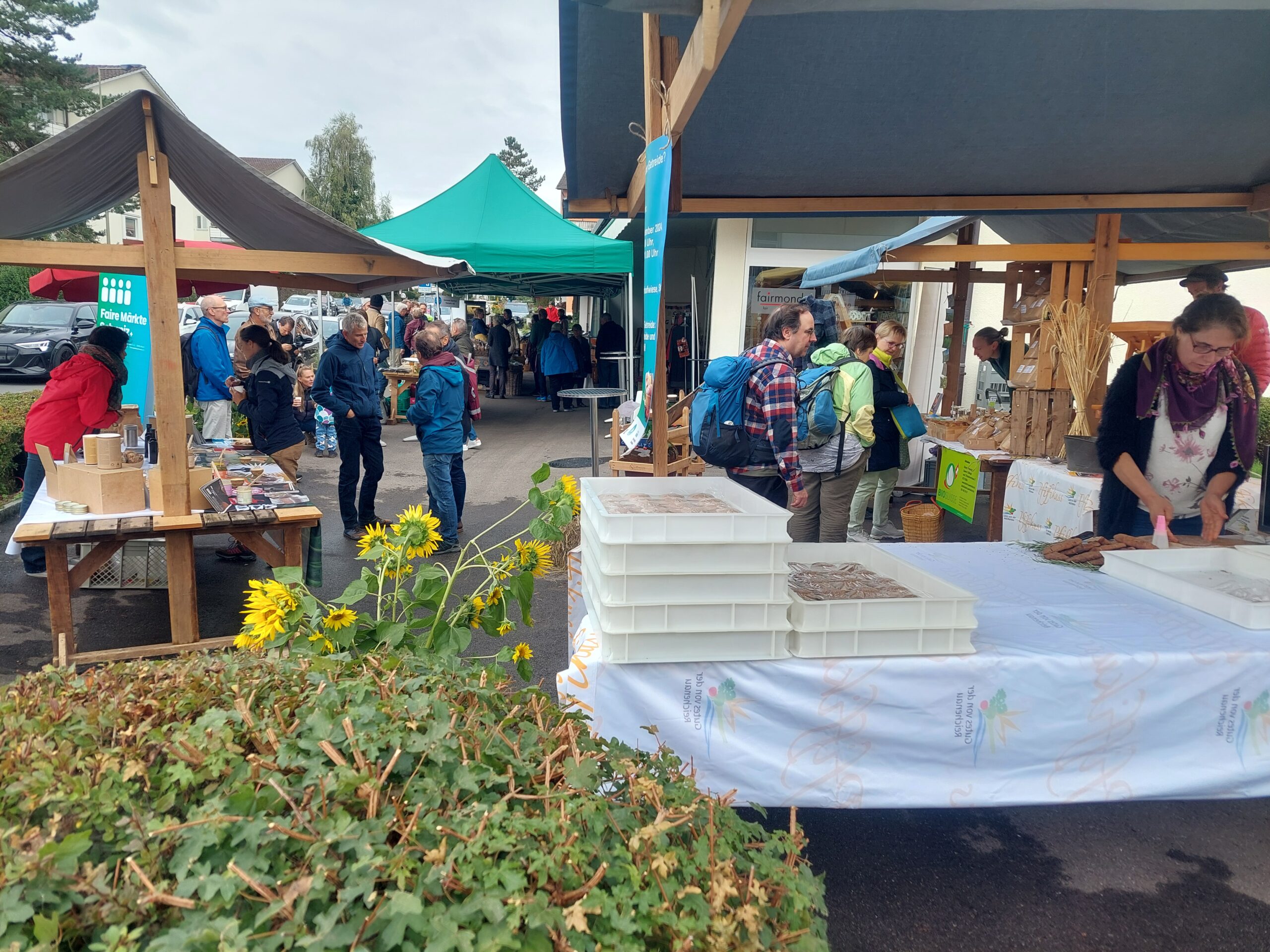 20240914_103954 20240914_103954