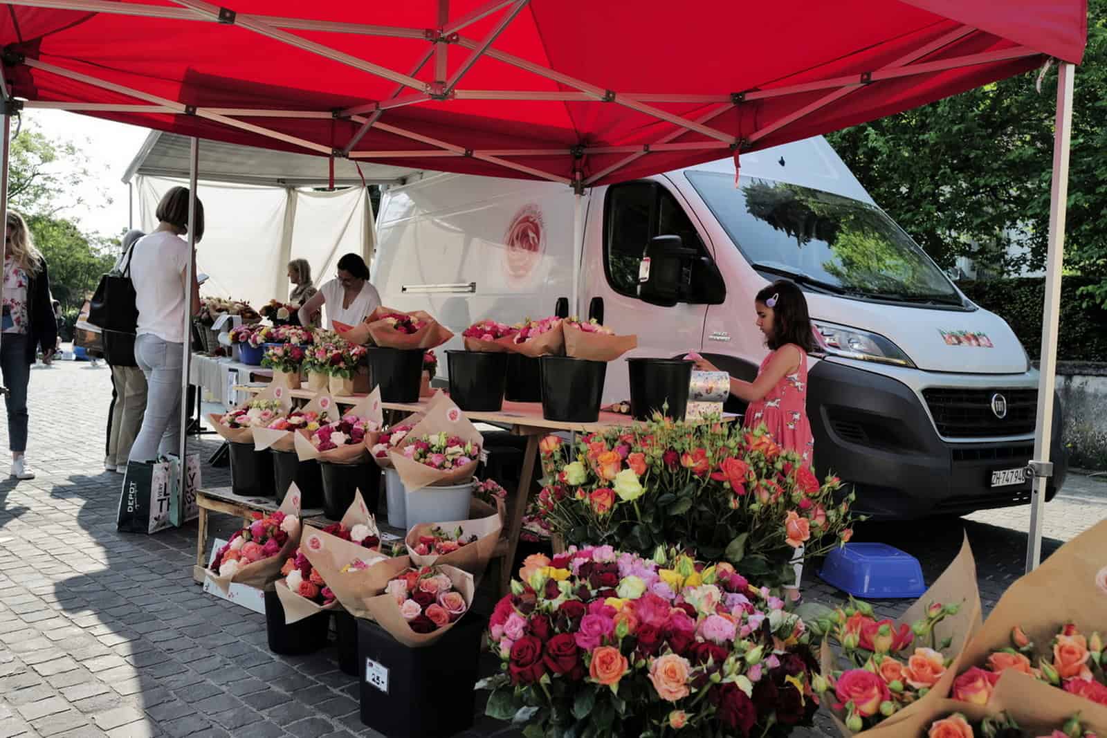 Regula Walder - Rosen